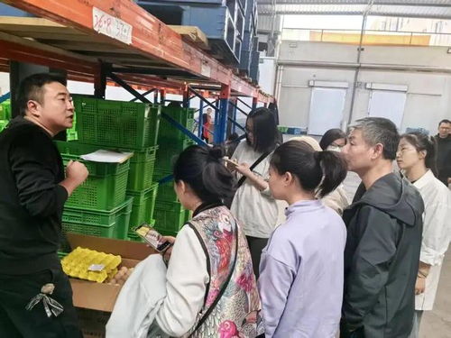 上海學生午餐蝦仁炒蛋引食品安全風波，監管部門介入調查