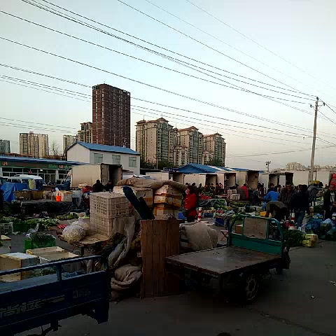 清晨的北京八里橋農(nóng)產(chǎn)品批發(fā)市場 都市食用品的源頭與脈搏