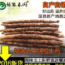 農(nóng)產(chǎn)品批發(fā)市場(chǎng)中的山藥產(chǎn)業(yè)鏈解析 從產(chǎn)地廠家到終端消費(fèi)